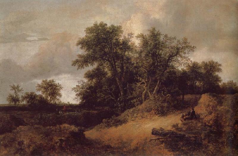Jacob van Ruisdael Dune Landfscape oil painting picture